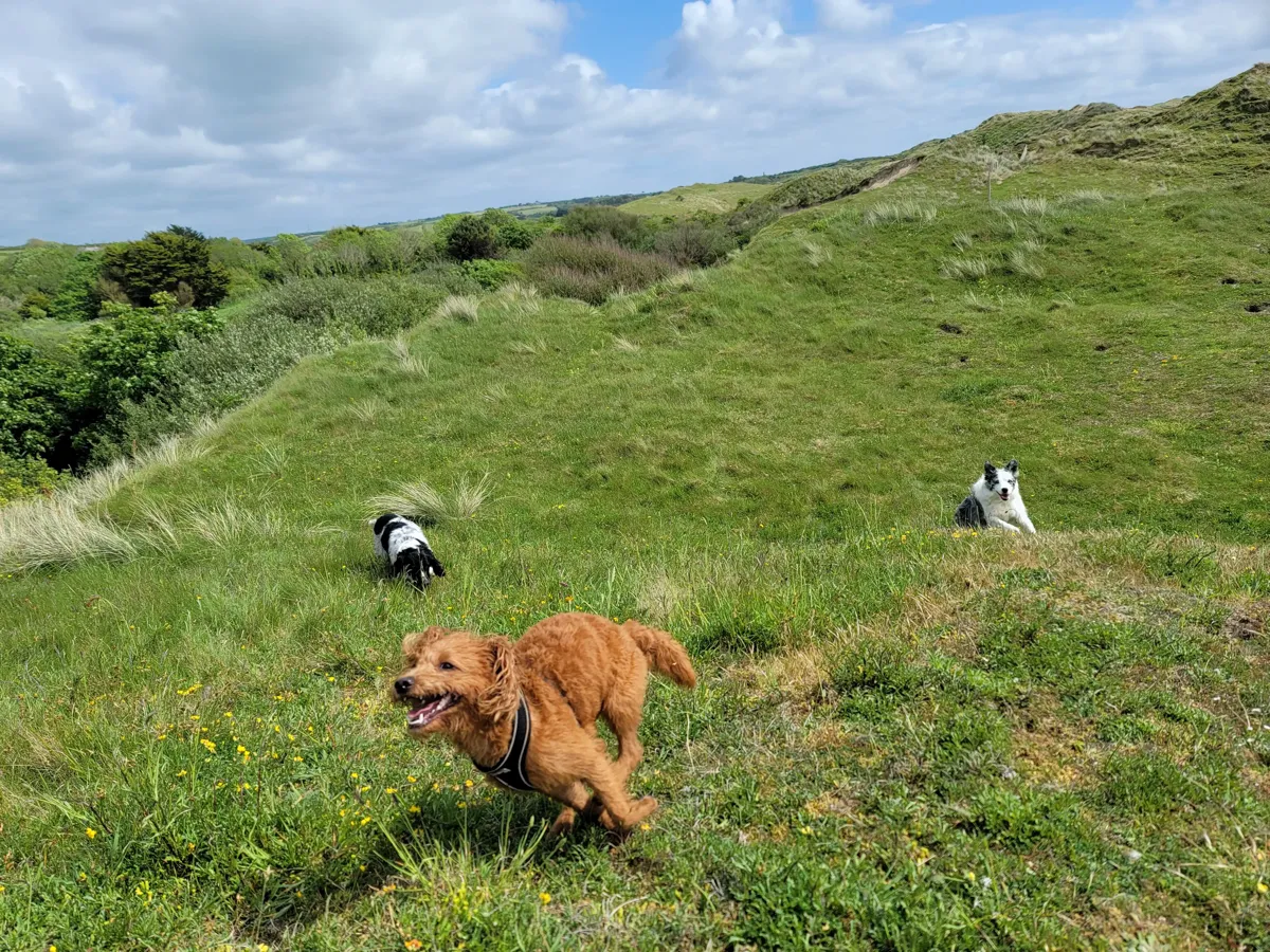 Porth Beach and Ellenglaze with cliff path views