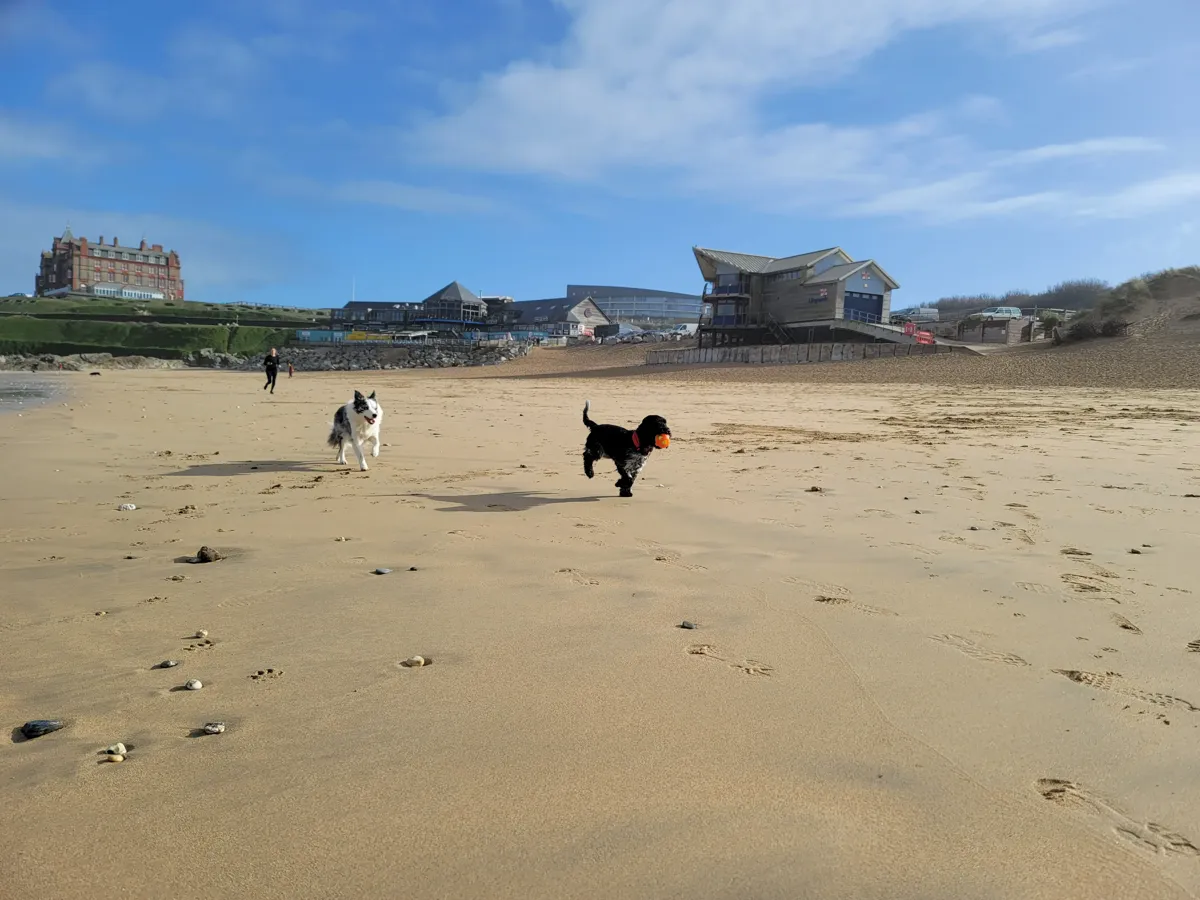 Fistral Beach and the Newquay coastline
